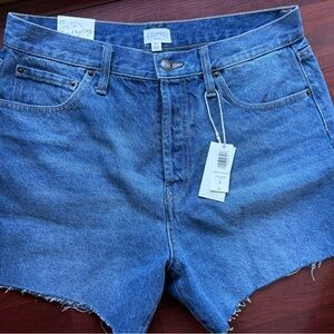 Z Supply Blue Jean Shorts